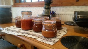 Many chillies and many hours later, I am set up for tasty eats in the future